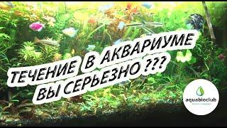 Течение  и фильтрация в аквариуме. Что общего?