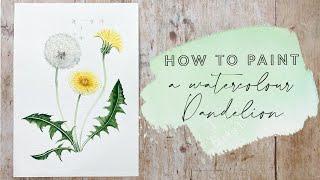 How to Paint a Watercolour Dandelion