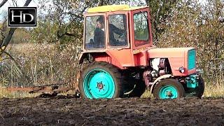 ВЛАДИМИРЕЦ Т-25  Вспашка ЧЕРНОЗЁМА на зиму