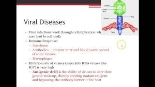 Immunology: Immune Response in Infectious Diseases