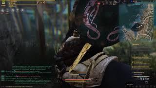 water donkey, the most powerful donkey in BDO