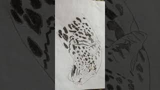 How to drawing pictures