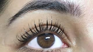 Professional Salon Lash Lift Kit with Training