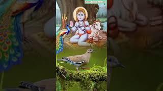 Baba Balak Nath Ji Bhajan ||Paunahari New Bhajan