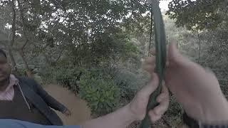 Scenic Zipline in Bangladesh 