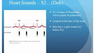 Local cardiac examination & dynamic auscultation, Dr. Khaled Said