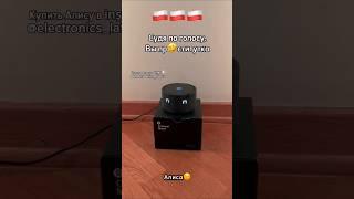 Как подключить колонку Алиса в Польше? Ответ смотри в Instagram: electronics_latvia