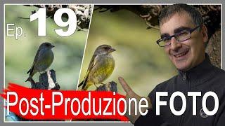 Ritocco le TUE Foto  Come Migliorare la Post Produzione - Ep19 - Fotografia Naturalistica