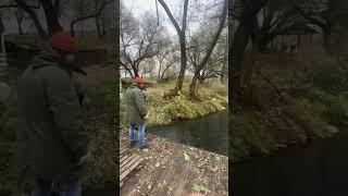 Плот