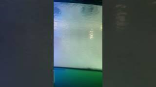 Super Satisfying Car Wash!  Deep Clean & Shine Like New!