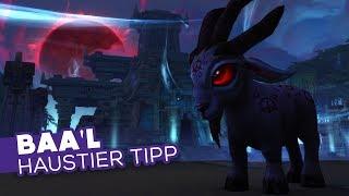 Baa'l | Kompletter Guide + Tipps - Haustier Tipp  [WoW]