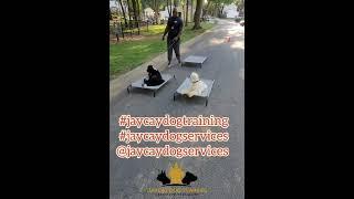 ig: JayCay Dog Services Www.jaycaydogservices.com. fb: JayCay Dog training
