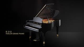 Discover the C. Bechstein Concert B 212!