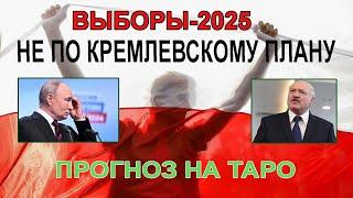 Лукашенко будет вторым, что-то пойдет не так. Прогноз на выборы в Беларуси