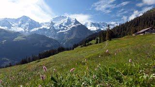 Switzerland's Jungfrau Region: Best of the Alps