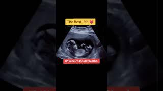 the best life in the world #beautiful #video #shortvideo #shorts