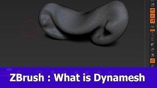 ZBrush Dynamesh Tutorial for Beginners