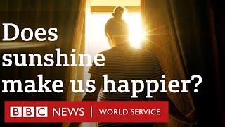 Is the 'sunshine cure' a real thing? - CrowdScience podcast, BBC World Service podcast