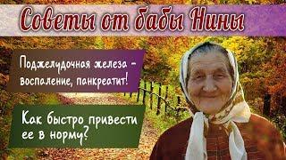 Баба Нина - Поджелудочная железа - воспаление, панкреатит! Как быстро привести ее в норму?