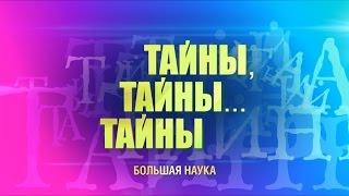 Тайны, тайны… тайны. Феномен сознания и самосознания. Природные циклы. Морские водоросли.