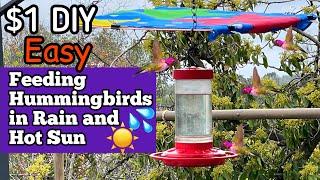 DIY Hummingbird Feeder Shade Cover HOT SUN or Rain, HUMMINGBIRDS Feeding Nectar, Gardening w/Birds