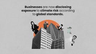 Standards, measurement, and reporting in the private sector