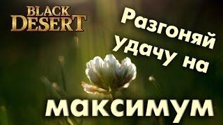 Black Desert (RU) - Повышаем дроп с мобов