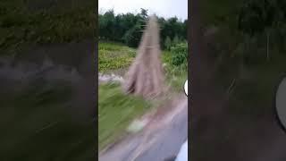 Md Farhad 786 #vlog #viral #shorts #youtubeshorts