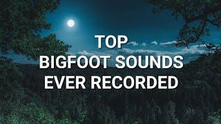 TOP BIGFOOT SOUNDS EVER RECORDED