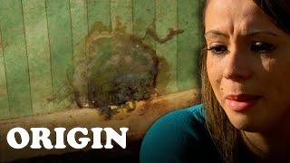 OCD Cleaner vs House Filled With Mold! | Obsessive Compulsive Cleaners