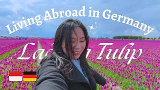 a day in my life | Beautiful Tulip Field in Germany 