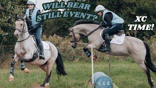 Bear Goes XC For The First Time In 5 Years