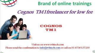 Cognos tm1 freelancer for low fee cost by RVH Technologies