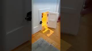 dogs home #cat #doggyantics #dog #pupplaygear #diy #doggosdoingthings #funny #dogdoor #satisfying