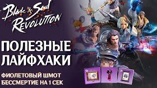 Полезные лайфхаки по Blade & Soul Revolution. Где брать фиолетовый шмот и пета? Прокачка без стамины