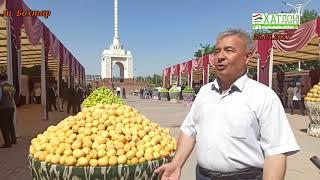 Коршиноси соҳаи кишоварзӣ ба кишоварзони хатлонӣ маслиҳат дод