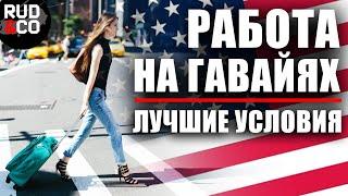 РАБОТА ГАВАЙИ США | А вы бы пошли на такие условия? | U4U