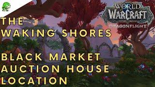 Dragonflight The Waking Shores Black Market Auction House Location