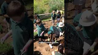 We Planted a Native Wildflower Meadow with 200+ Students! #nativeplants
