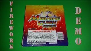 Morning glory sparkler - Wiseguy