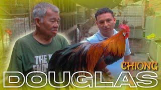 Visita al CRIADERO de Gallos FENIX de DOUGLAS CHIONG | FENIX PERU 