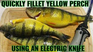 SUPER QUICK & SIMPLE - FILLET YELLOW PERCH!!