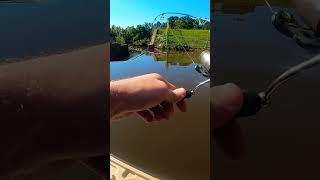 Acrobatic Super Ultralight Fun #ultralightfishing #bassfishing #panfish #fishingvideo #largemouth