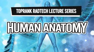 TopRank Radtech Lecture Series: Human Anatomy