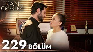 Kan Çiçekleri 229. Bölüm