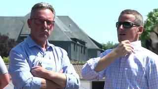 Arqana Summer Sale 2017