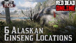 5 Alaskan Ginseng Locations Red Dead Online (RDR2)