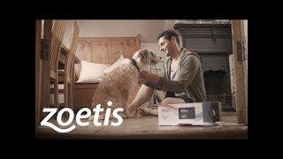 PROMOTIONAL VIDEO // Zoetis: Pet Dialog+