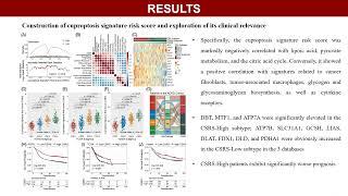 Cuproptosis signature-related molecular subtype in gastric cancer