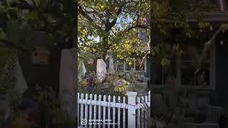 Как украшают дома в сша. #сша #переездвсша #переездвамерику